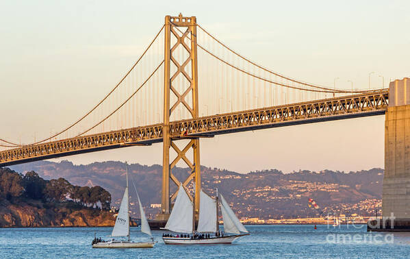 Bay Bridge Art Print featuring the photograph Bay Bridge Gold by Kate Brown