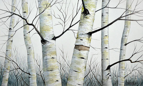 Birch Art Print featuring the painting Birch Trees in the Forest in watercolor by Christopher Shellhammer