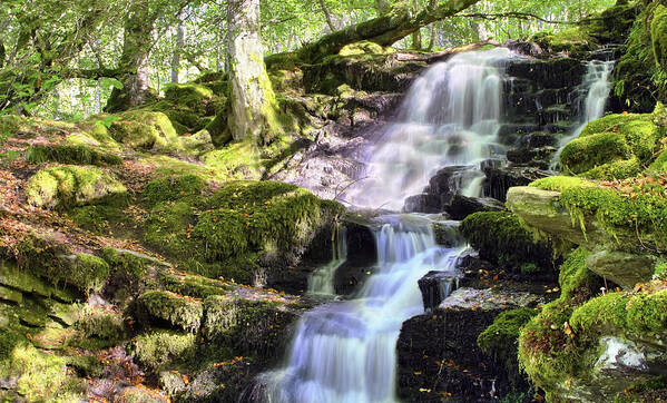 Waterfall Art Print featuring the photograph Birks of Aberfeldy Cascading Waterfall - Scotland by Jason Politte