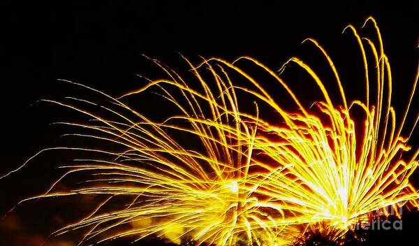Fireworks Art Print featuring the photograph Bright Lights for the New Year by Brigitte Emme