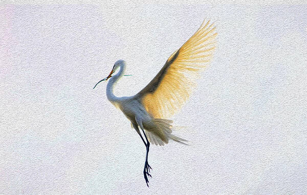 Egret Art Print featuring the photograph Carrying the Twig by Ola Allen