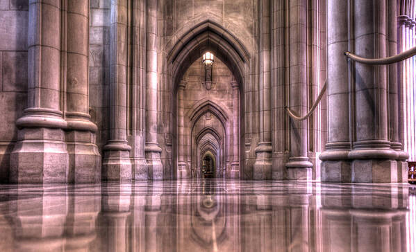 Sneffy Art Print featuring the photograph Cathedral Reflections by Shelley Neff