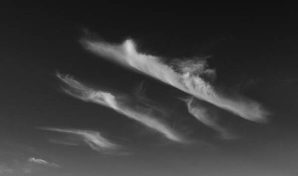 Clouds Art Print featuring the photograph Clouds by Don Spenner