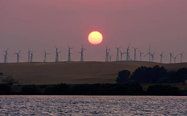 Landscape Art Print featuring the photograph Delta Sunset by Marc Crumpler