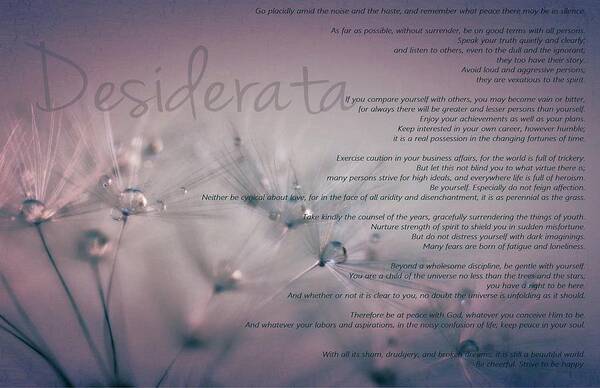 Desiderata Art Print featuring the photograph Desiderata - Dandelion Tears by Marianna Mills