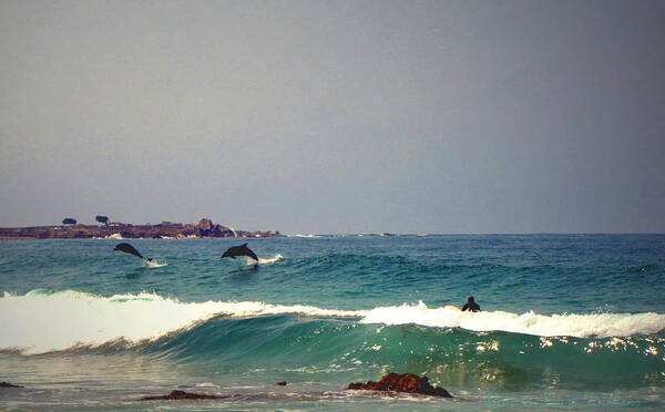 Dolphins Art Print featuring the photograph Dolphins Swimming With The Surfers At Asilomar State Beach by Joyce Dickens