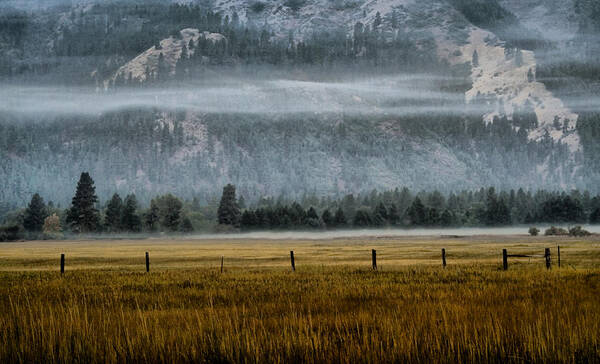 Meadow Art Print featuring the photograph Early Morning Fog by Ellen Heaverlo