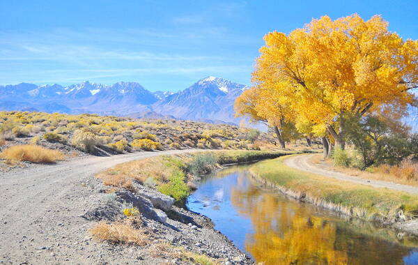 Fall Art Print featuring the photograph Fall Reflections by Marilyn Diaz