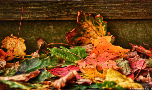 Autumn Art Print featuring the photograph Fallen Leaves by Kathi Isserman