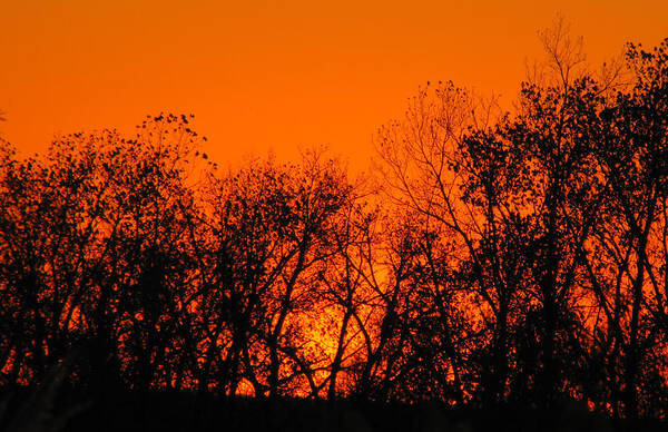 Sunset Art Print featuring the photograph Flaming Sunset II by Tony Grider