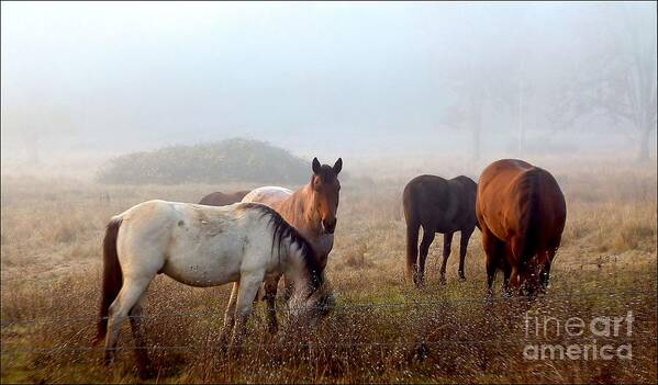 Landscape Art Print featuring the photograph Fog Ponies by Julia Hassett
