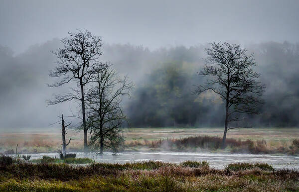 Fog Art Print featuring the photograph Foggy Bottoms by James Barber