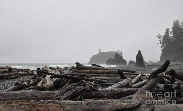 Morning Art Print featuring the photograph Foggy Morning on the Washington Coast 2 by Tatyana Searcy