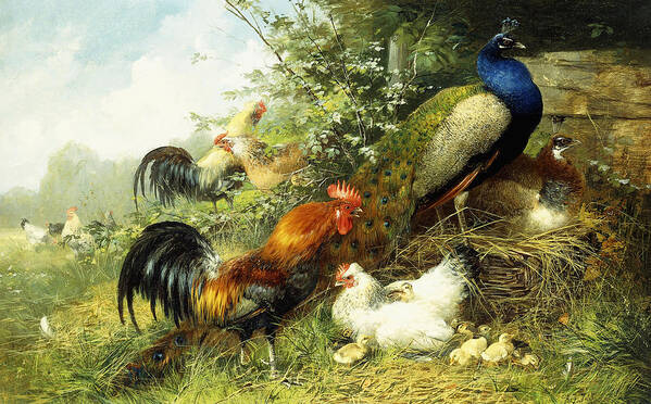 Peacock Art Print featuring the painting Fowl and Peacocks by Arthur Fitzwilliam Tait