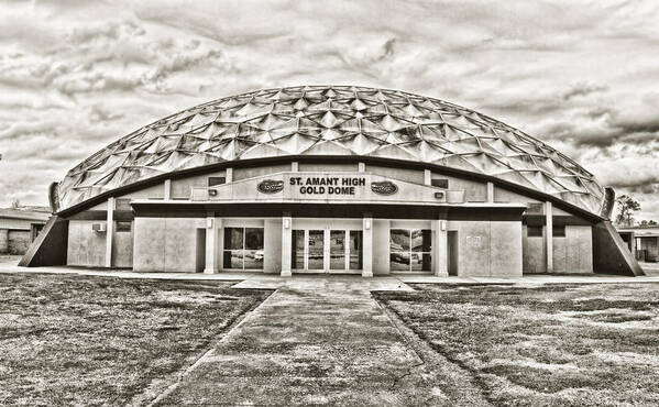 Gold Dome Art Print featuring the photograph Gold Dome by Scott Pellegrin