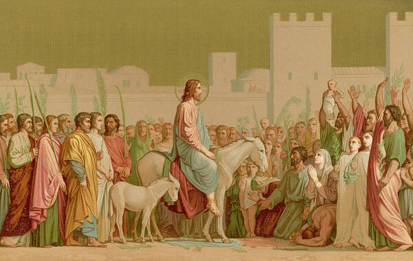 Jesus Art Print featuring the drawing He Rides Into Jerusalem On A Donkey by Mary Evans Picture Library