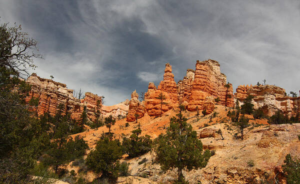 Bryce Art Print featuring the photograph Hoodoos at Mossey Creek Trail by Jean Clark