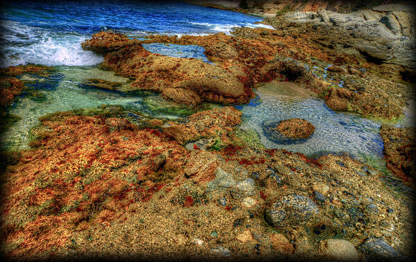 Tide Pools Art Print featuring the photograph In Wonder by Craig Incardone