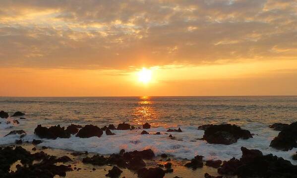 Kona Art Print featuring the photograph Just Another Kona Sunset by Lori Seaman