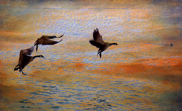 Goose Art Print featuring the photograph Landing by Kathy Bassett