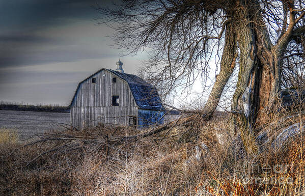 Landscape Art Print featuring the photograph Lightning strike by Thomas Danilovich