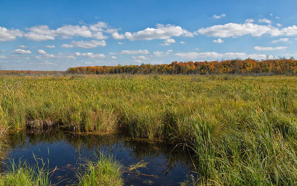 Landscape Art Print featuring the photograph Magnificent Minnesota Marshland by John M Bailey