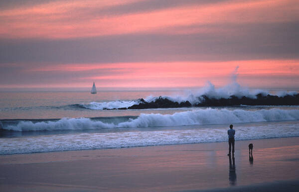 Beach Art Print featuring the photograph Man Dog Pink Sunset Venice Beach by Tom Wurl