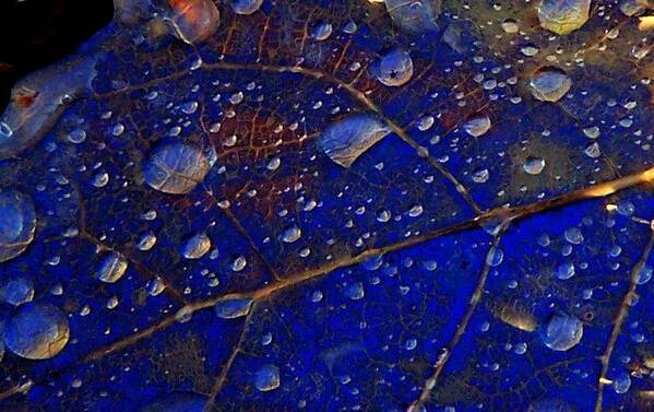 Fantasy Art Art Print featuring the photograph Micro Worlds by Kathleen Luther