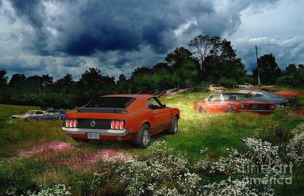 Mustang Art Print featuring the photograph Mustang Field by Tom Straub