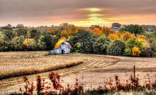 Barn Art Print featuring the photograph Muted Grace by Thomas Danilovich