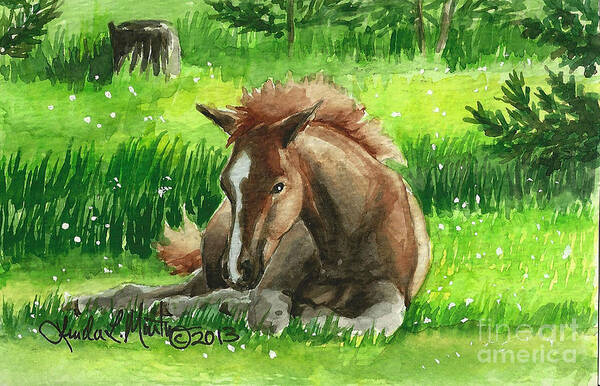 Foal Art Print featuring the painting Napping Alberta Wild Foal by Linda L Martin