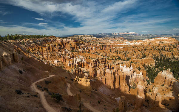 Bryce Canyon Art Print featuring the photograph Navajo trail by Phil Abrams