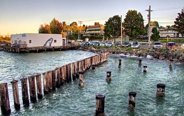 Northern Art Print featuring the photograph Northern Fish Co. Old Town Tacoma WA by Rob Green