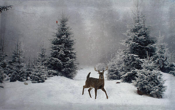 Winter Art Print featuring the digital art On a snowy evening by Lianne Schneider