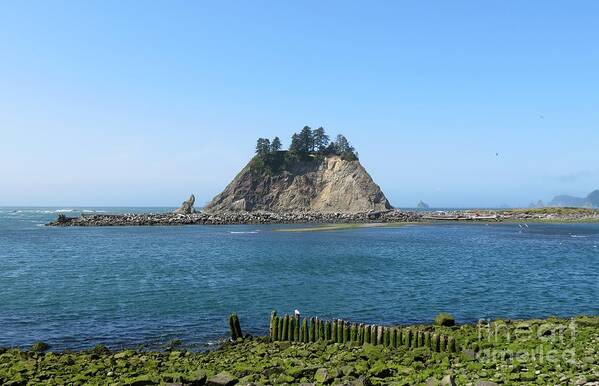 La Push Art Print featuring the photograph Pacific Coast at La Push by Gayle Swigart