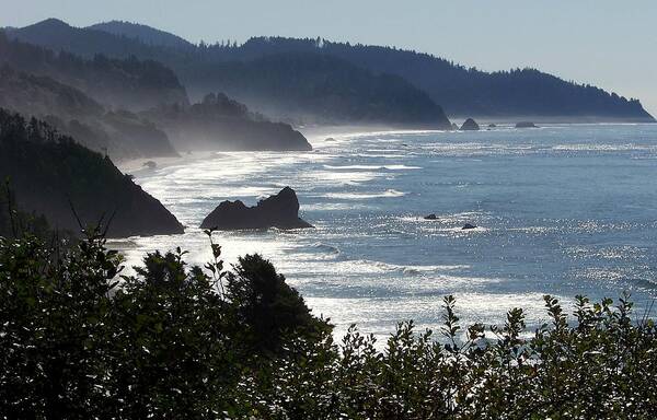 Coast Of Oregon Art Print featuring the photograph Pacific Mist by Karen Wiles