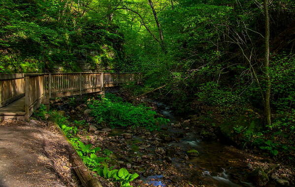 Parfreys Glen Art Print featuring the photograph Parfrey's Glen Trail by Chuck De La Rosa