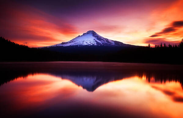 Trillium Lake Art Print featuring the photograph Peaceful Morning on the Lake by Darren White