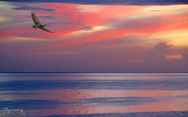 Nature Art Print featuring the photograph Pelican at Sunset by Mariarosa Rockefeller