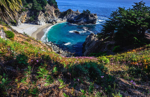 Mcway Falls Art Print featuring the photograph McWay Falls by Chuck Jason