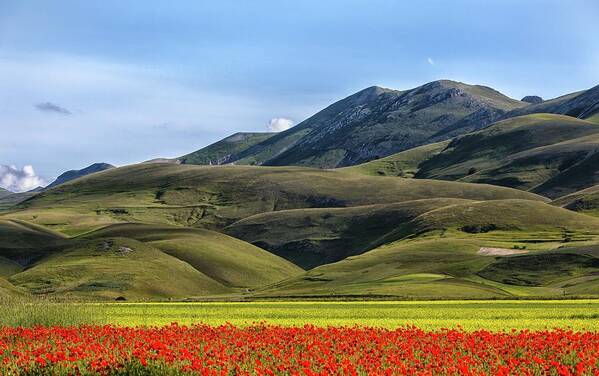 Tranquility Art Print featuring the photograph Poppies And Mountains by Photographer Antonio Zaccagnino