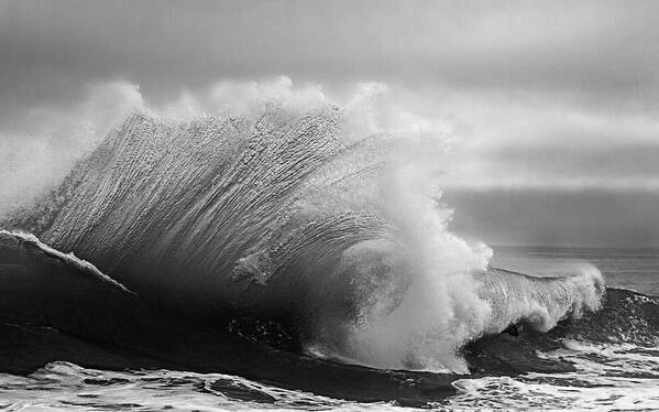Beach Art Print featuring the photograph Power in the Wave BW By Denise Dube by Denise Dube
