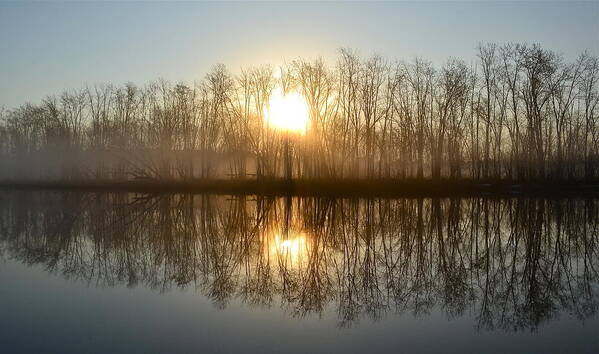 Water Art Print featuring the photograph Precision by Jody Partin