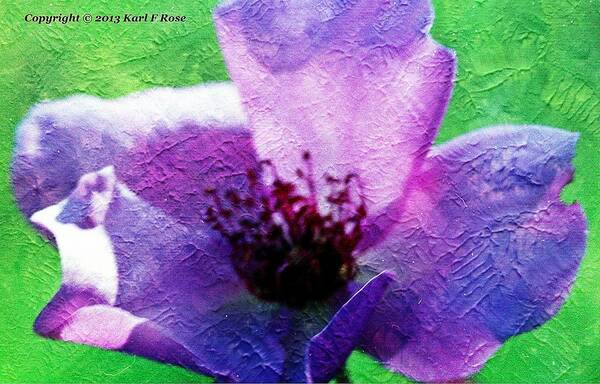 Colors Art Print featuring the photograph Purple flower by Karl Rose