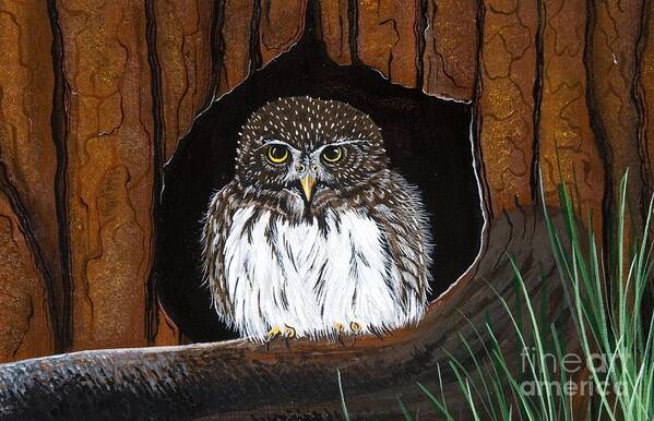 Owl Art Print featuring the painting Pygmy Owl by Jennifer Lake