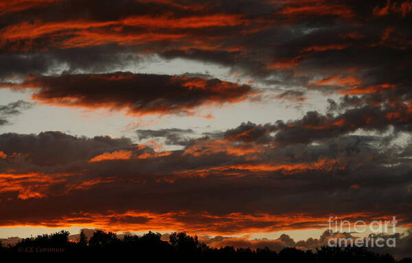 Sunset Art Print featuring the photograph Raging Sunset by Carol Lynn Coronios