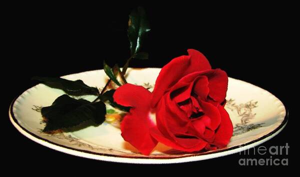 Red Rose Art Print featuring the photograph Red Rose on Antique Saucer with Oil Painting Effect by Rose Santuci-Sofranko