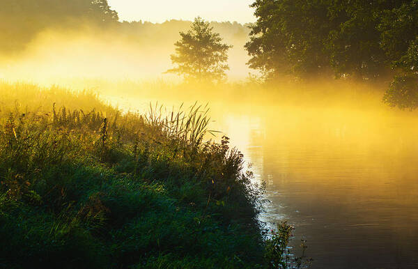 Tranquility Art Print featuring the photograph River of the mist by Michal Sleczek