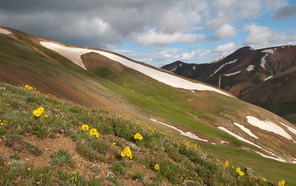 Redcloud Peak Art Print featuring the photograph Slopes of Redcloud Peak by Cascade Colors