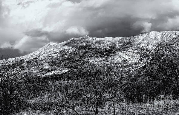 2010 Art Print featuring the photograph Snow Capped 45 by Mark Myhaver